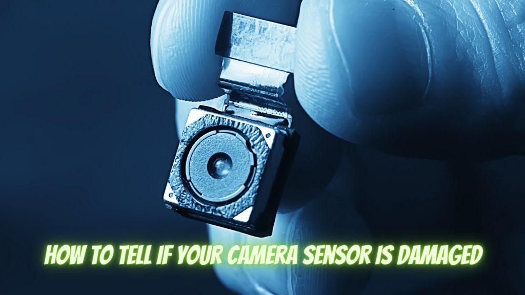 How To Tell If Your Camera Sensor is Damaged