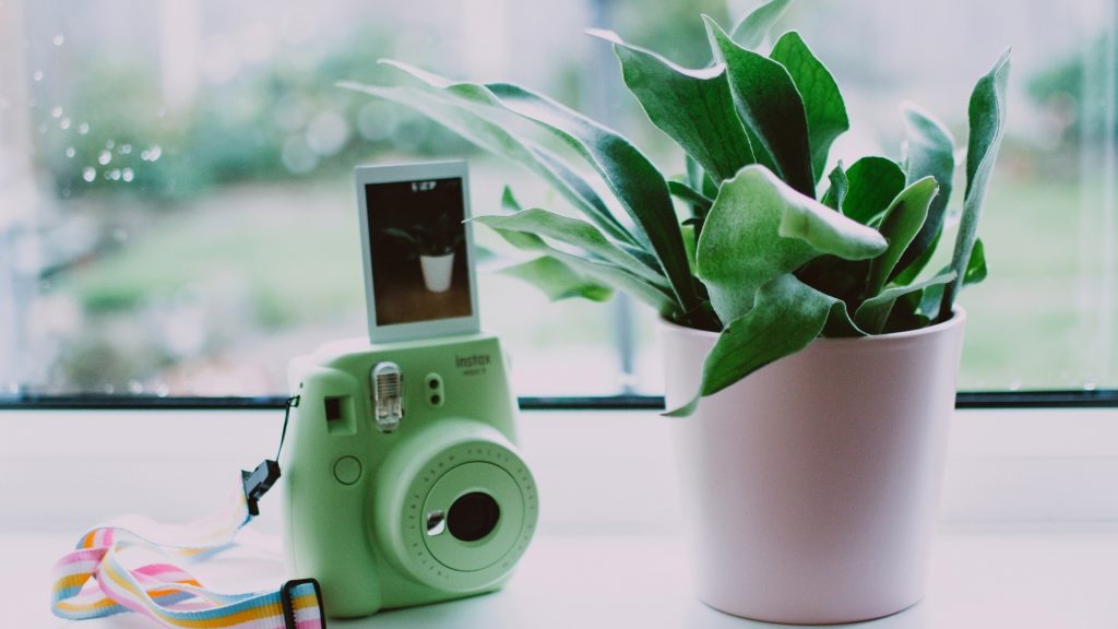 Camouflage Your Security Camera Inside A Potted Plant